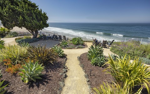 a path with plants and chairs on the beach