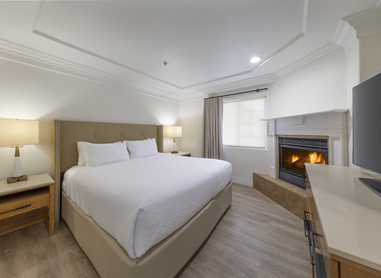 a room with a bed and fireplace