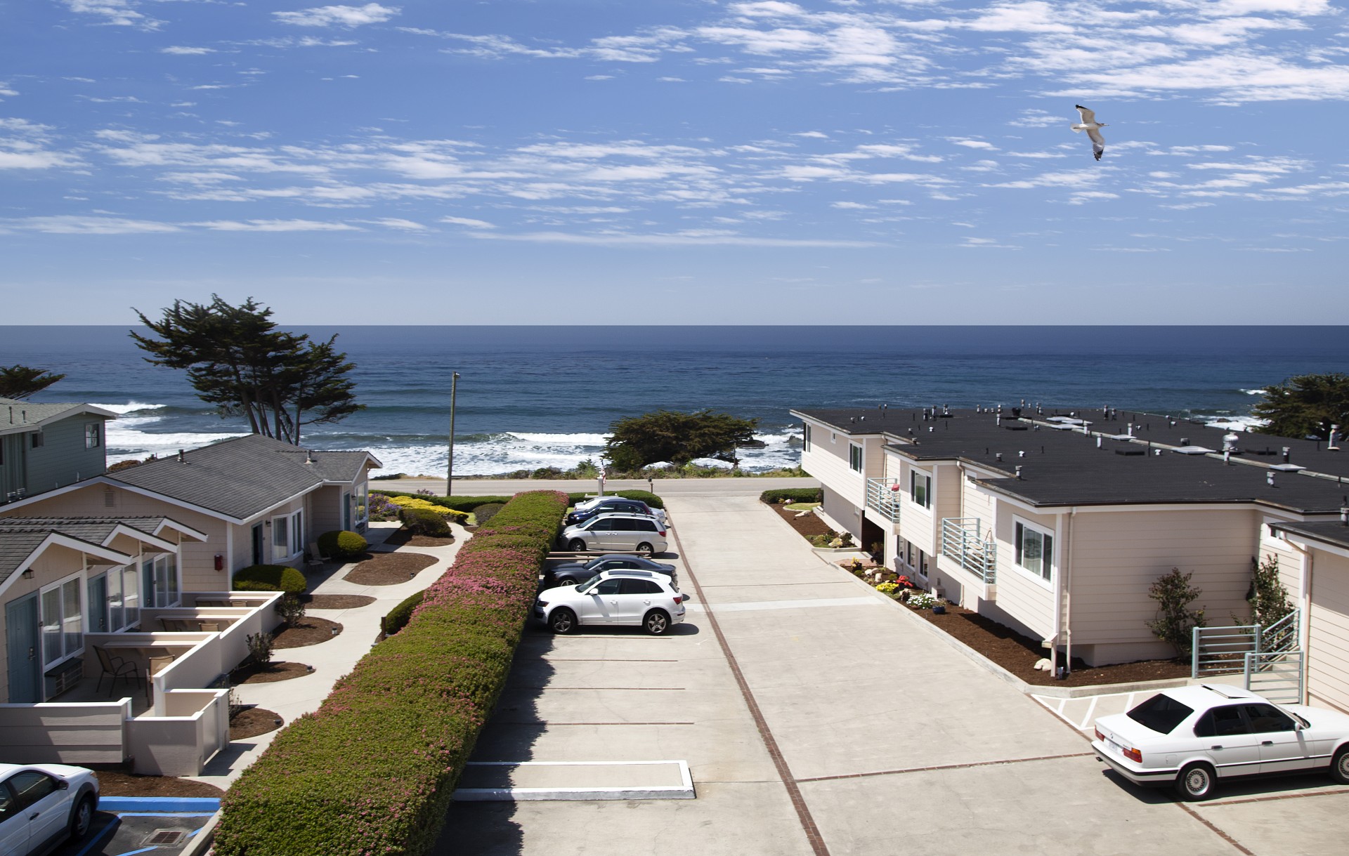 a parking lot with cars and a beach in the background