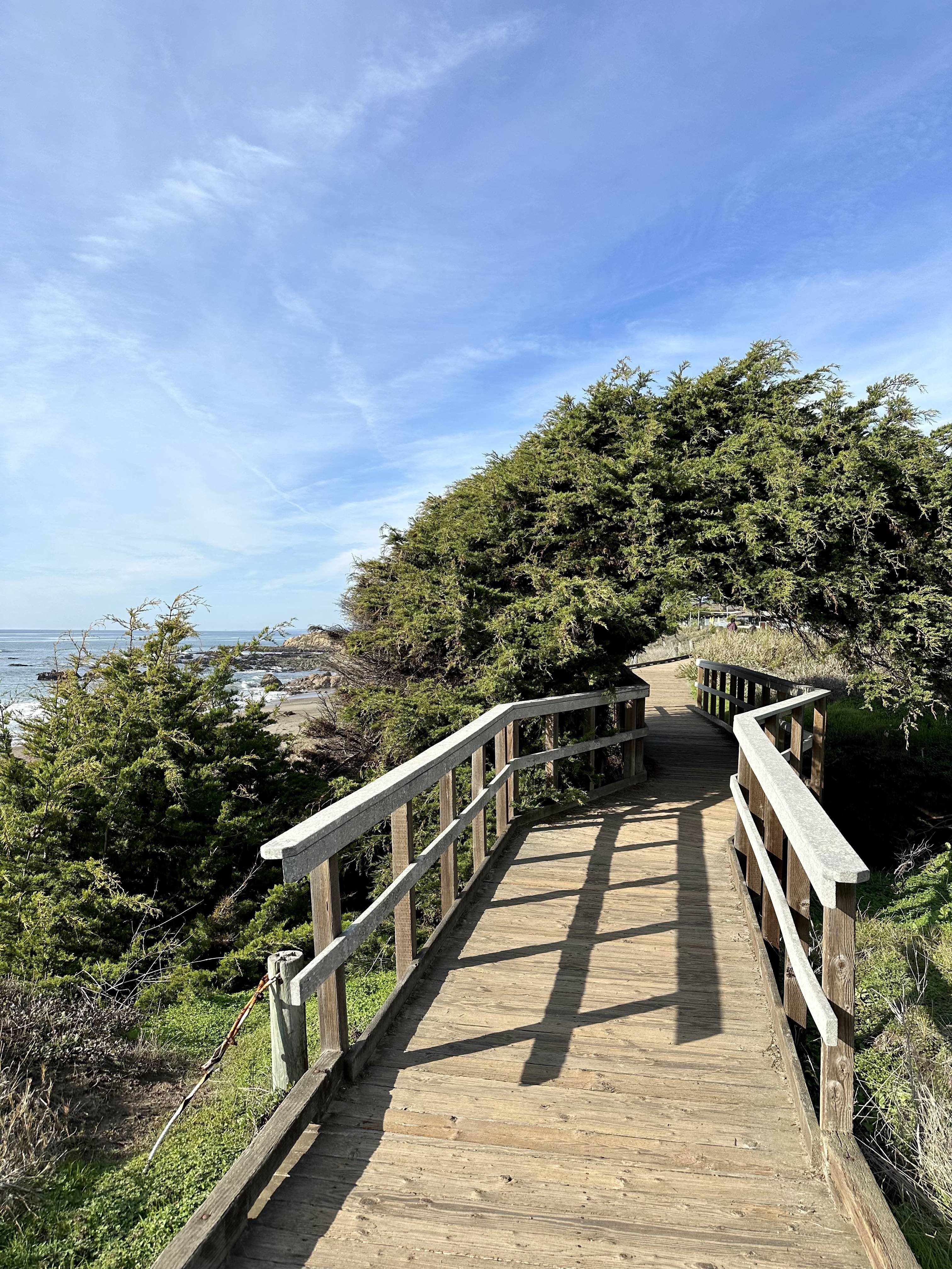 a wooden walkway with railings and trees on the side