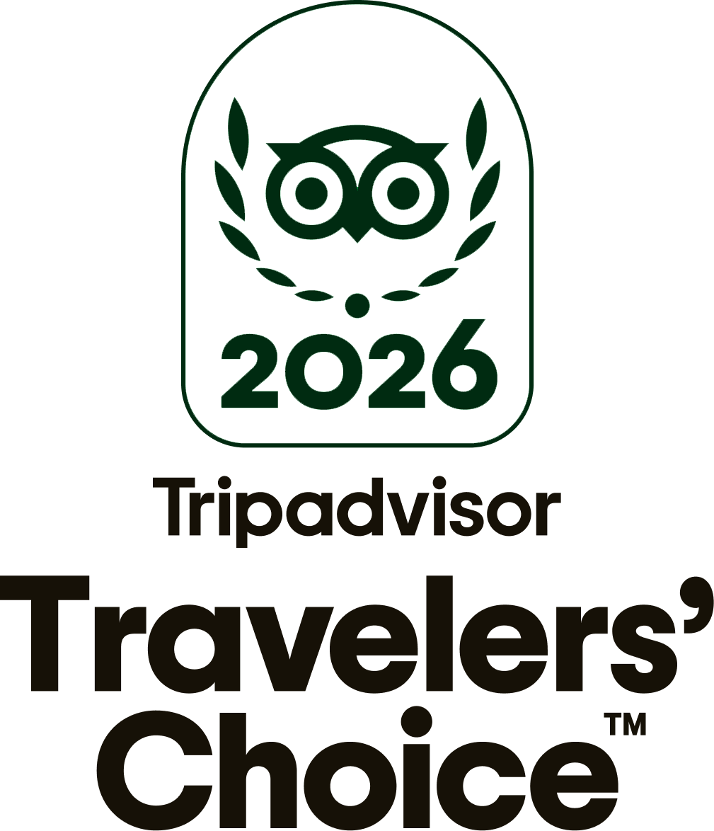 a logo with an owl and leaves