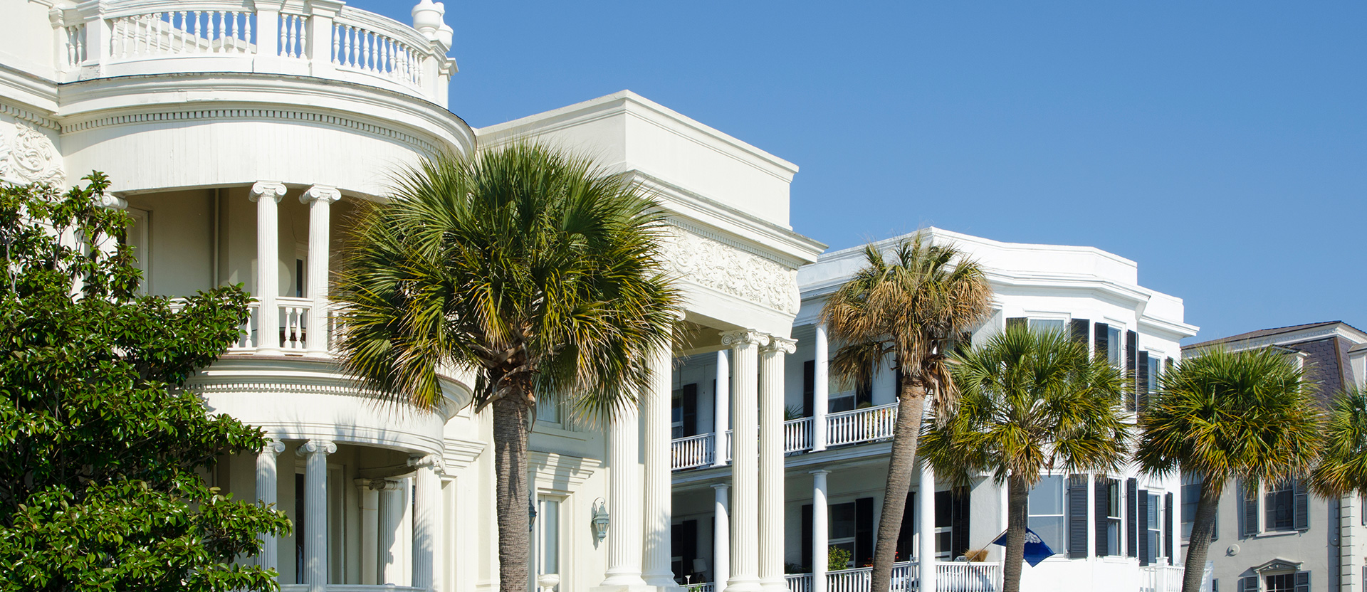 white buildings with trees in front of it