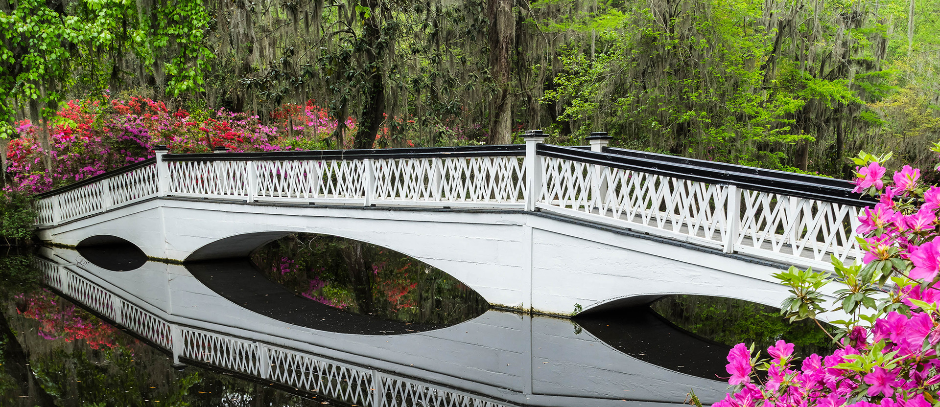 white bridge over a lake