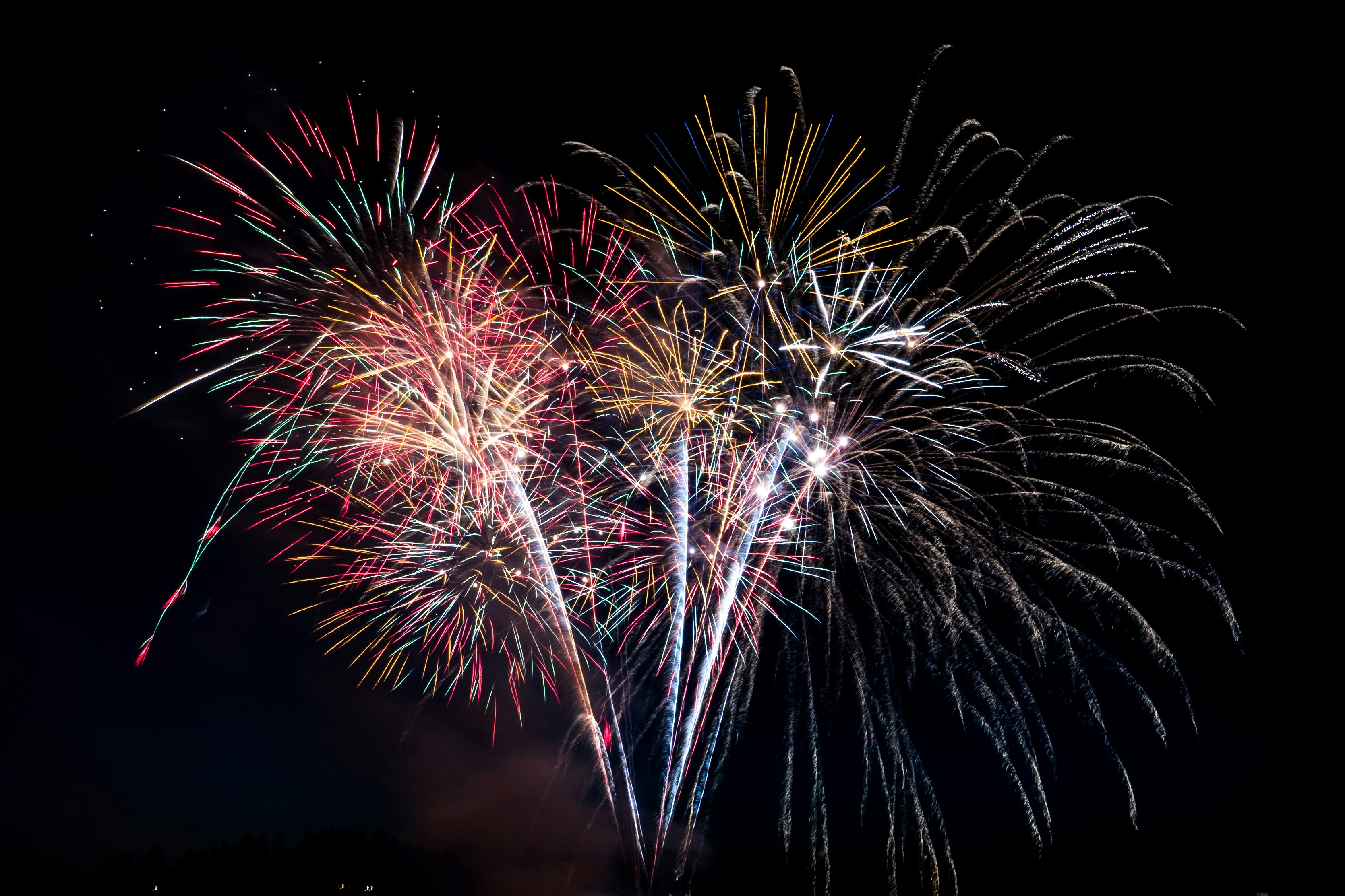 fireworks in the sky