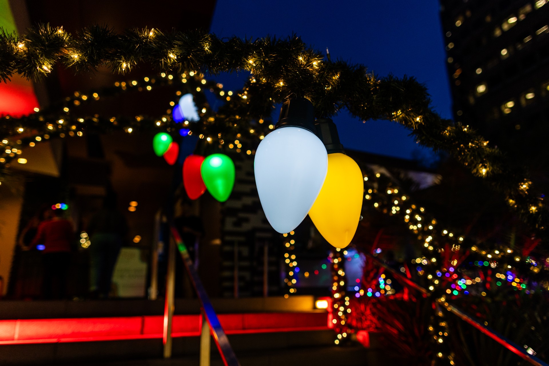 a group of lights on a tree