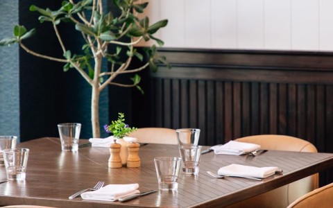 a table with a plant in the background main