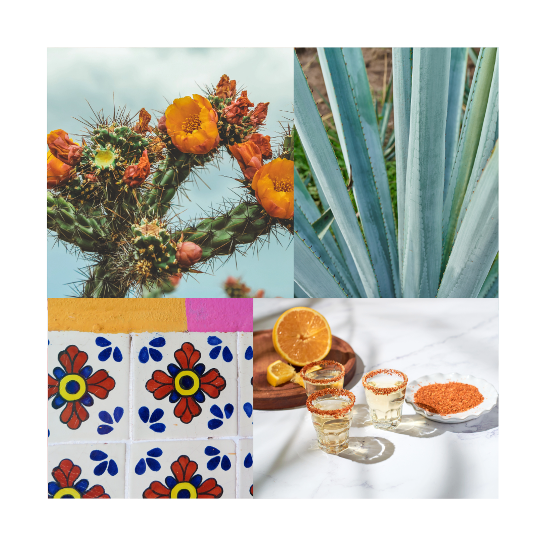 a collage of cactus and tequila shots
