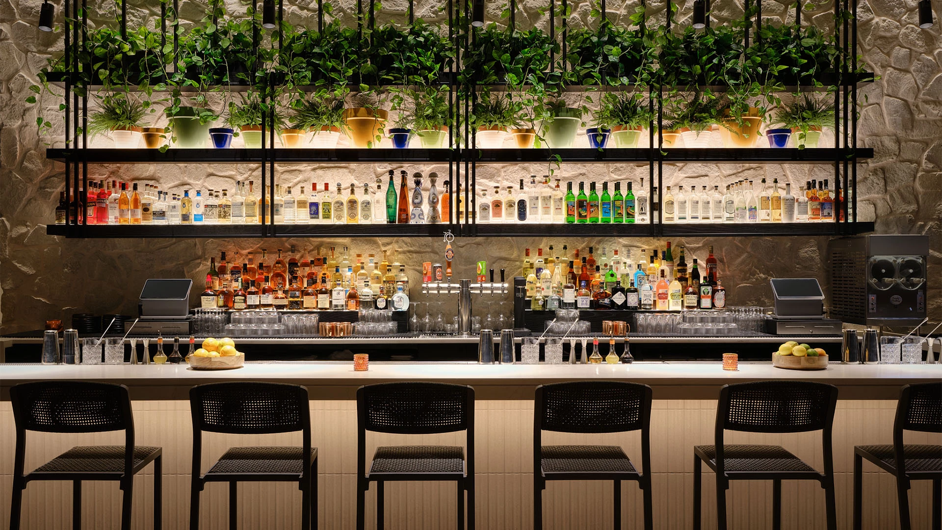 Bar photo 2