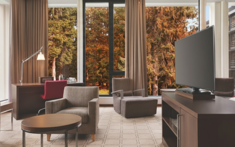 a room with a television and a television