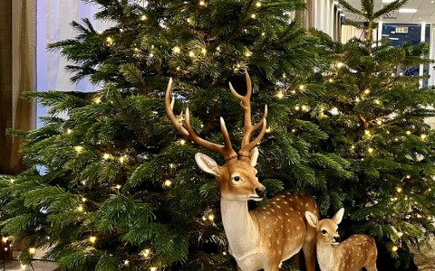 a group of deer in front of a tree with lights
