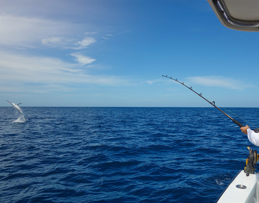 a fishing pole in the ocean