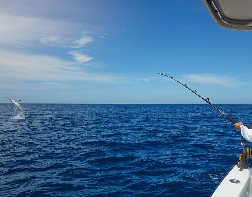 a fishing pole in the ocean