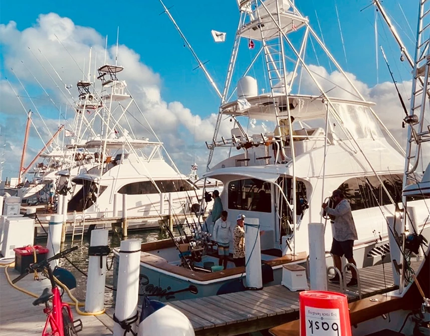 a group of people standing on a dock next to a boat