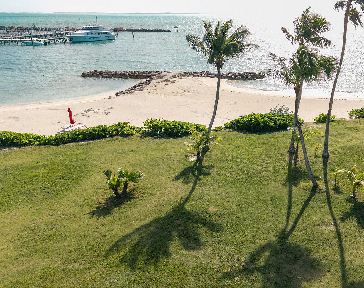 a beach with palm trees and a dock
