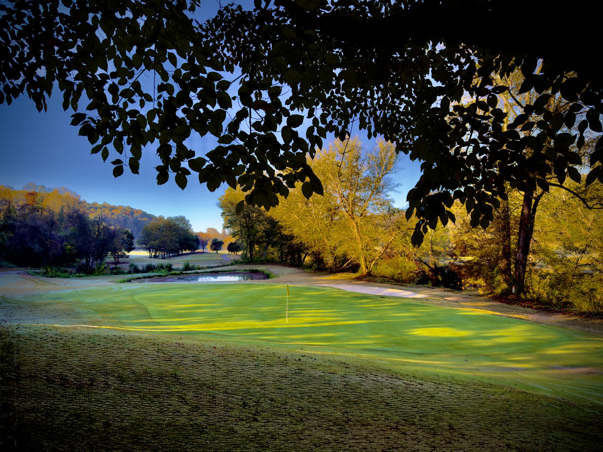 a golf course with trees and a flag