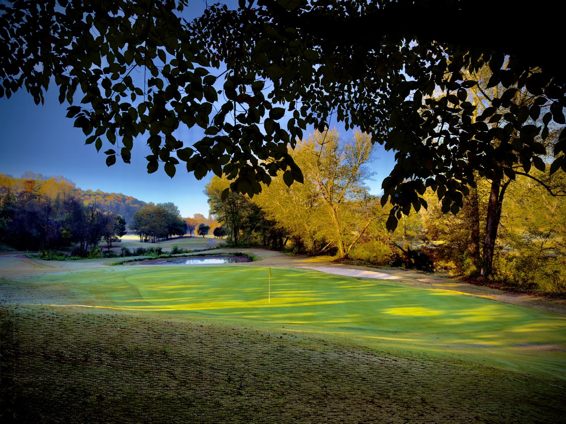 a golf course with trees and a flag