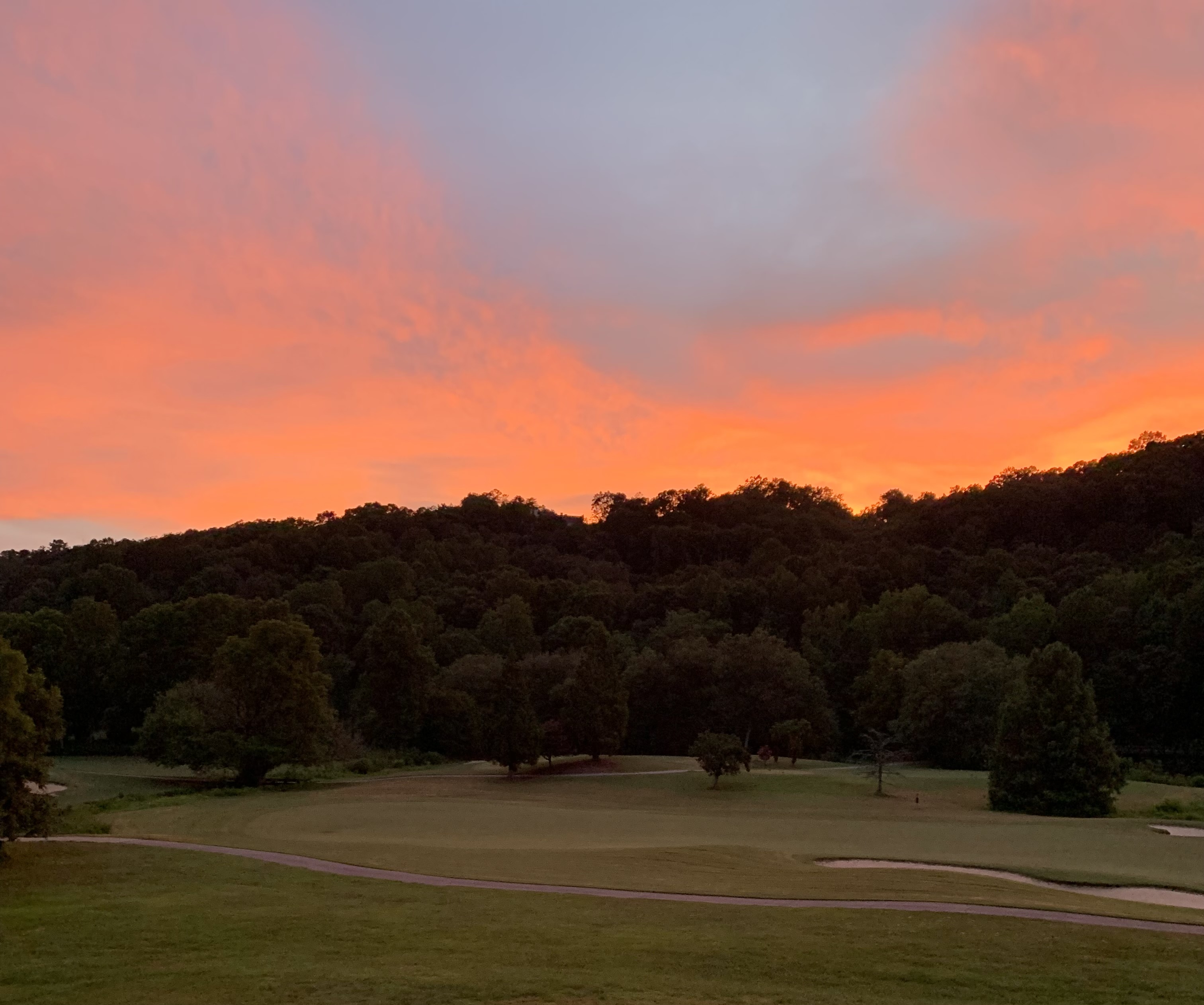 a sunset over a grassy field