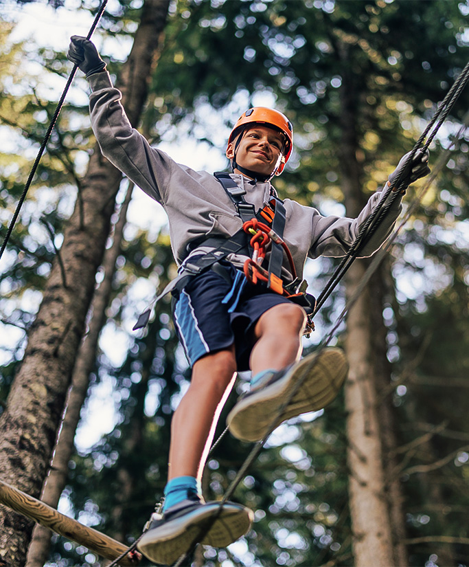 a person climbing a tree Next