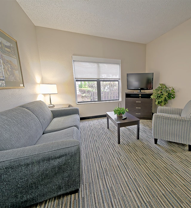 a living room with couches and a tv