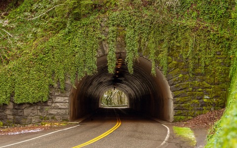 a tunnel in the middle of a road