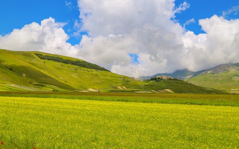 a grassy field with hills in the background