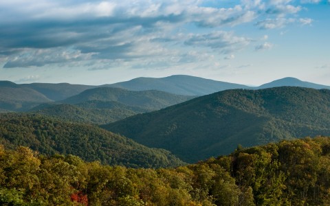 a landscape with trees and hills