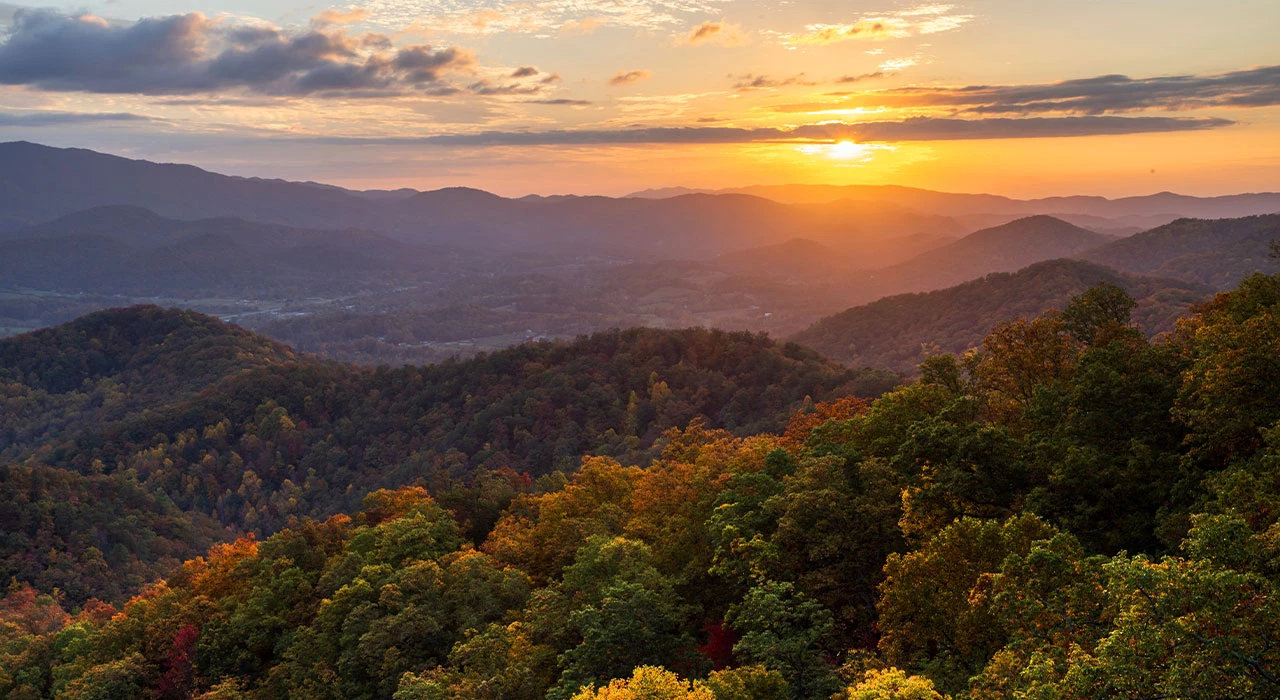 a sunset over a valley of trees