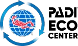 a logo of a diver in the middle of a globe