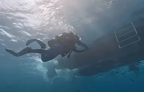 a scuba diver under water