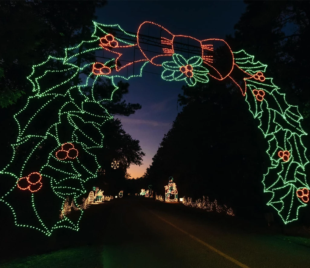 a christmas lights on a road