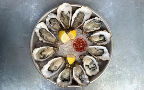 a plate of oysters on ice with lemon and coulis