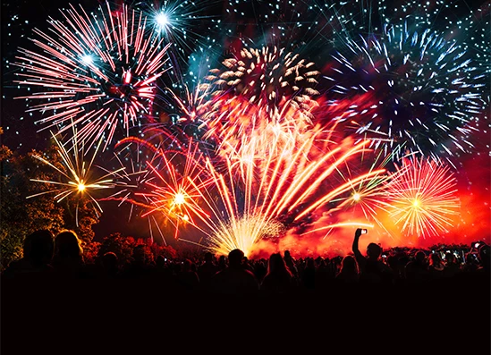 fireworks in the sky