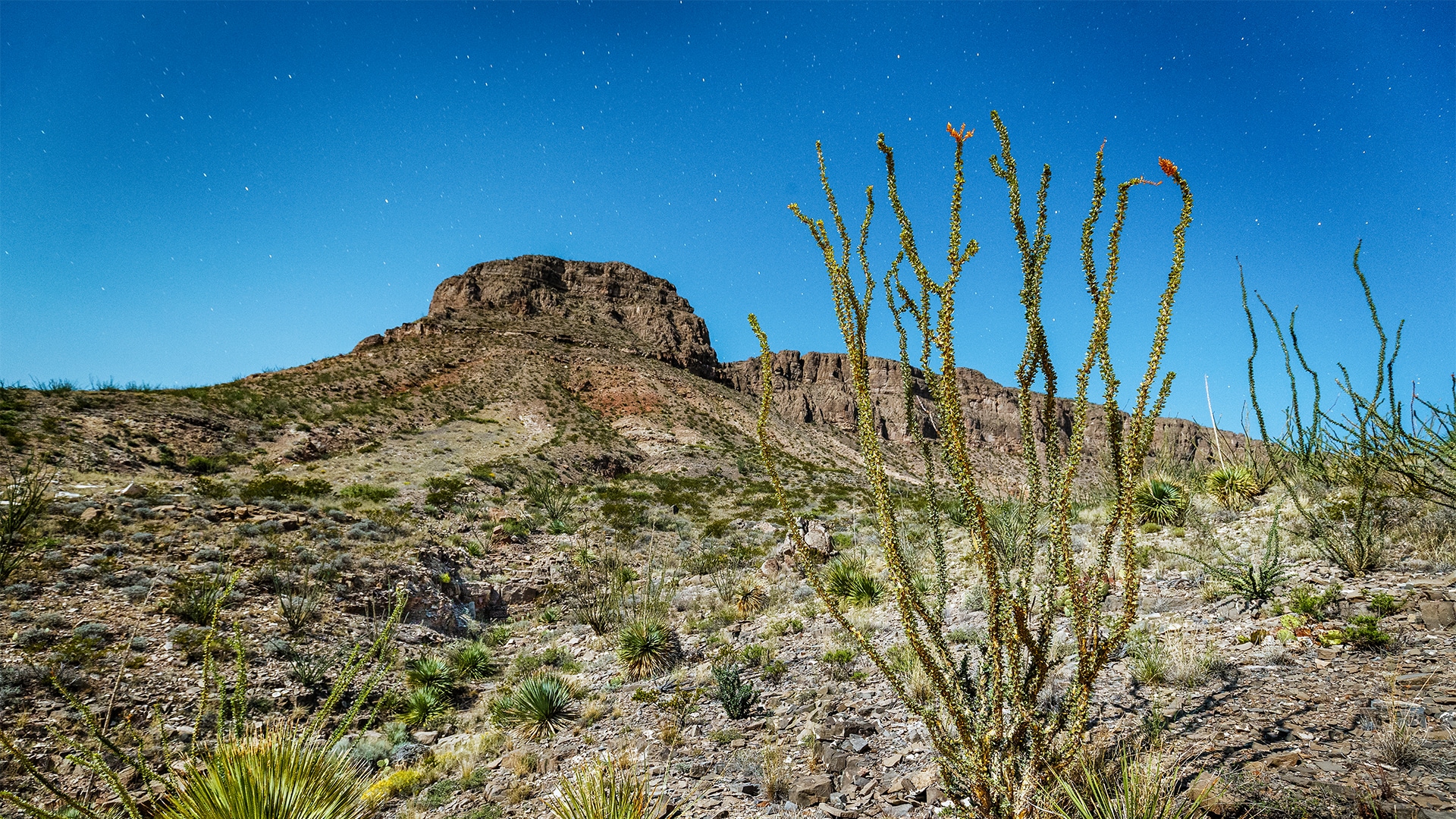 a desert landscape with a rocky hill and a cactus