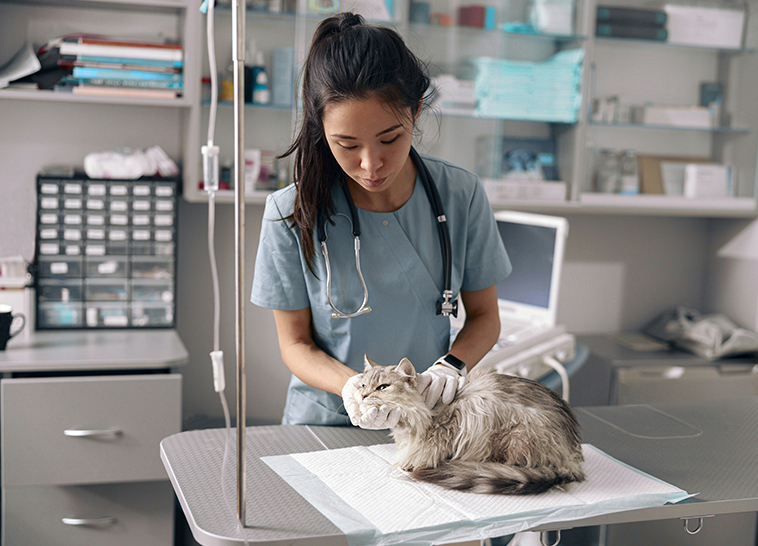 a woman in scrubs holding a cat