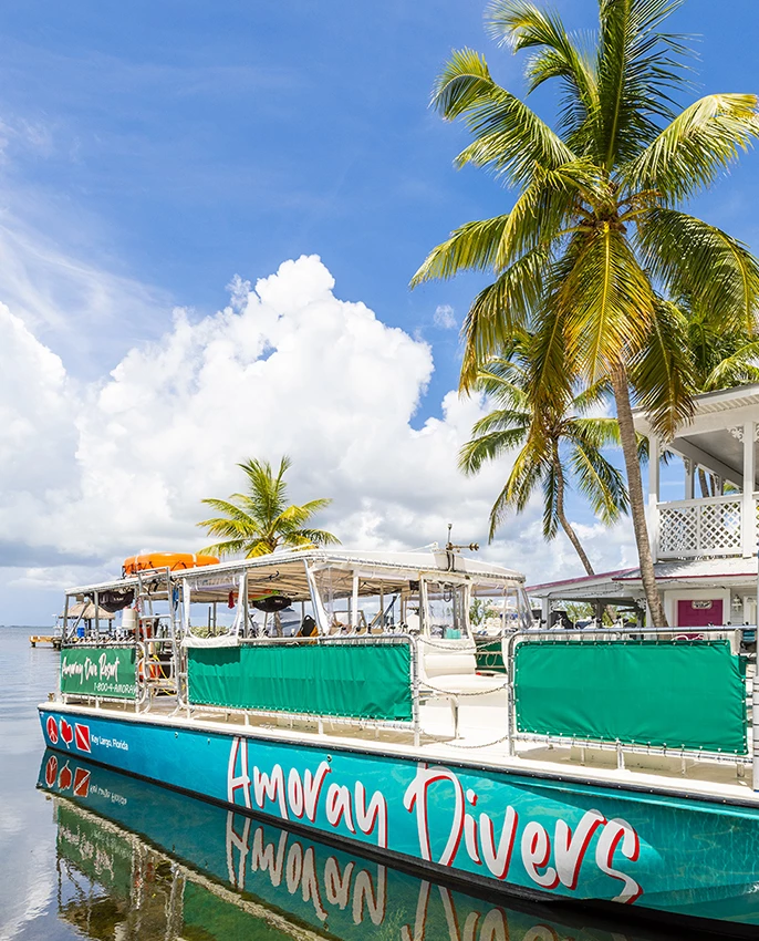 a boat on the water