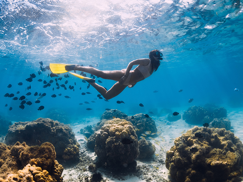 scuba diver swimming through the water with fish around
