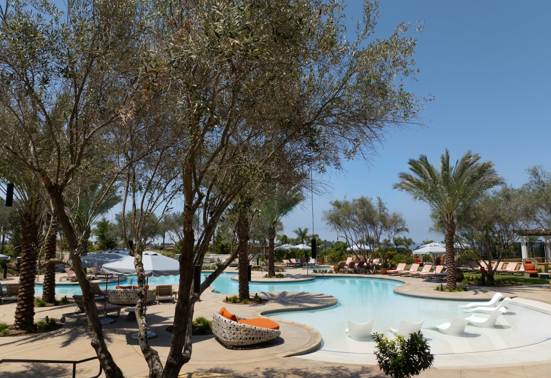 a pool with chairs and trees