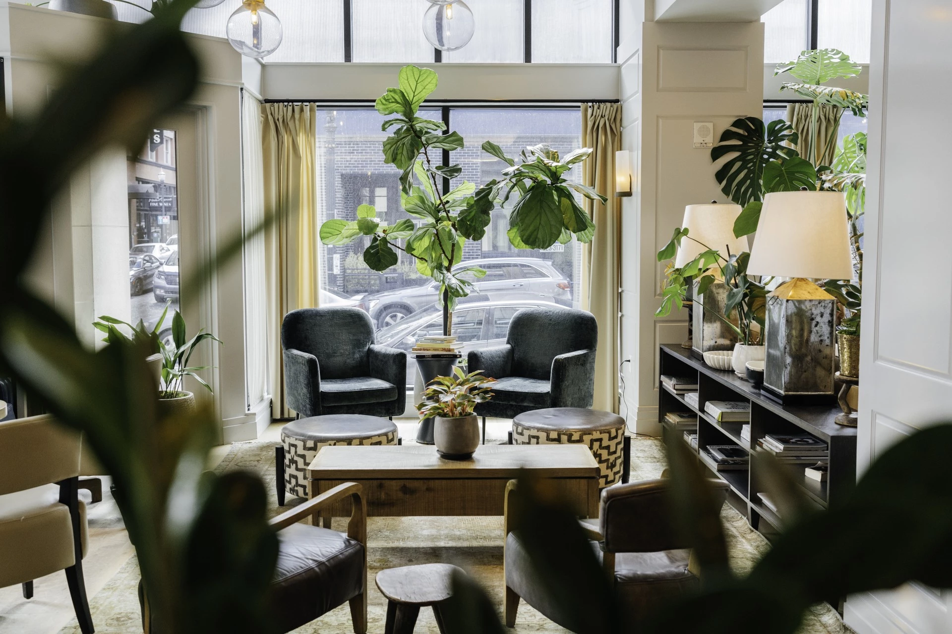 a room with chairs and a table and a plant