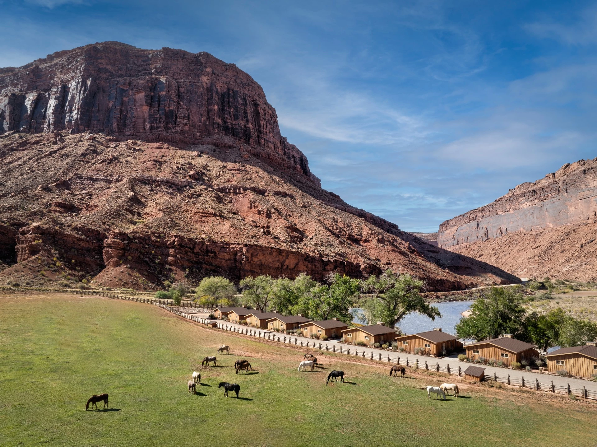 a group of horses grazing in a field near a mountain