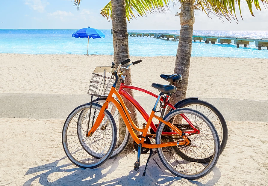 two bikes next to a palm tree with the beach in the background