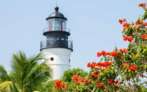 lighthouse surrounded by greenery and red flowers