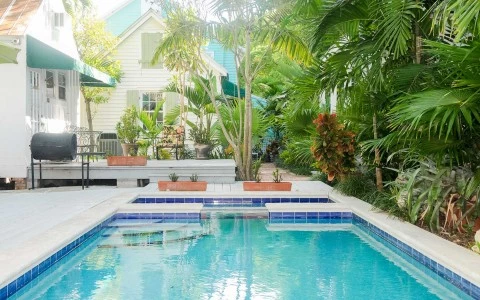 outdoor pool surrounded by tropical leaves and a pool deck 