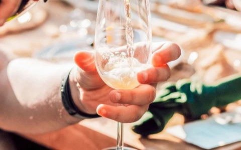 person pouring champagne in a glass