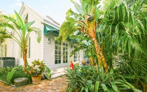 Turtle House exterior surrounded by palm trees