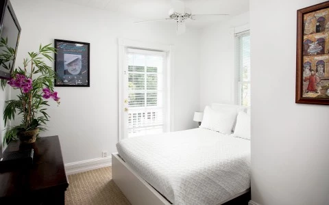 white bedroom with some plants as decorations and a fan