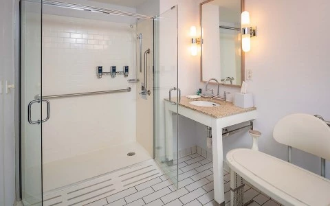 accessible bath with roll-in shower and grab bars