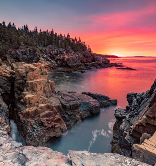 a rocky shore with trees and a sunset