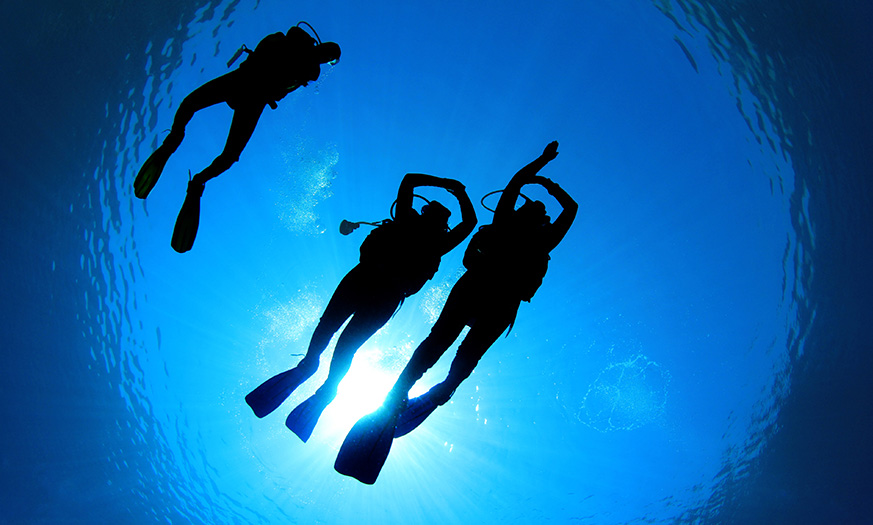 a group of scuba divers under water