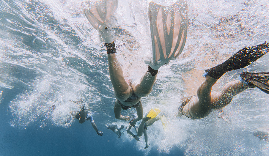 a group of people swimming underwater