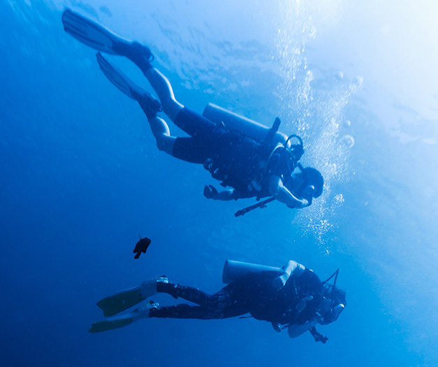 a group of scuba divers swimming underwater